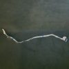 Nappe de connexion des modules Télé Lg 55NANO926PB Référence: EAD65825832